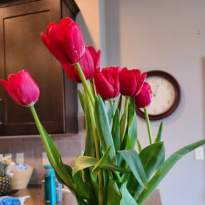 Meet your Posher, Jacinda